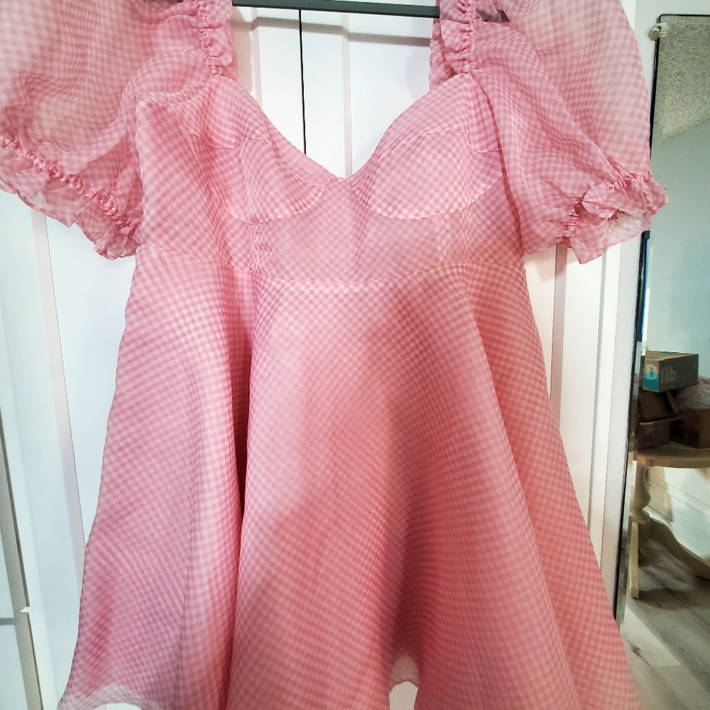 SELKIE 2X NWT Ice Cream Pink Gingham PARLIMENT dress Organdy